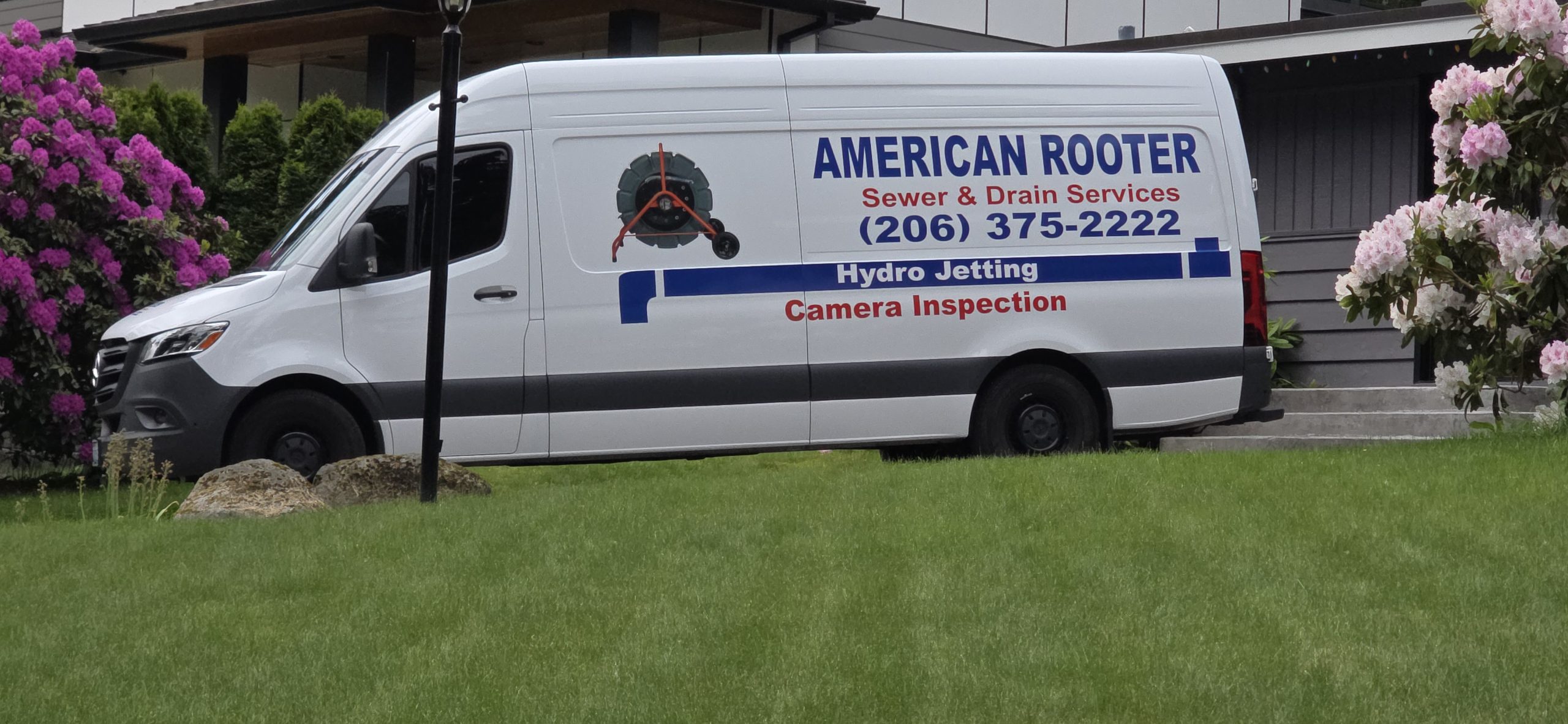 Americanrooterwa